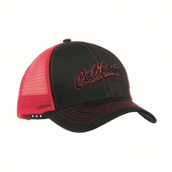 Cap Truckers Basic 5 of 6 panelen met logo
